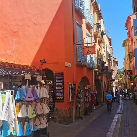 Les Rocades De Collioure 3 Chambres Avec Garage Et Terrasse *