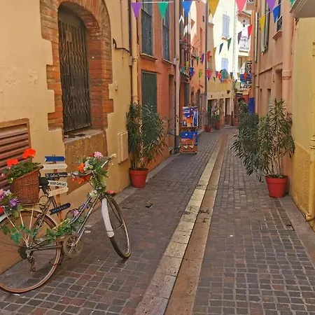 Les Rocades De Collioure 3 Chambres Avec Garage Et Terrasse *