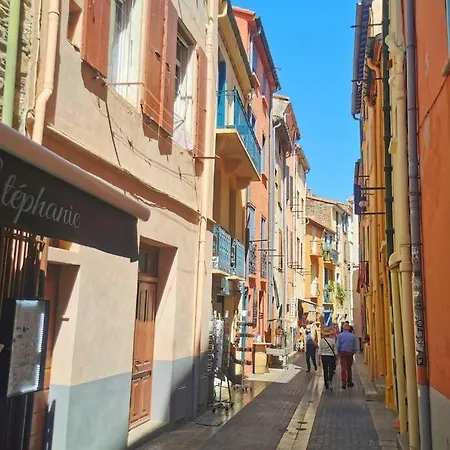 Les Rocades De Collioure 3 Chambres Avec Garage Et Terrasse 아파트